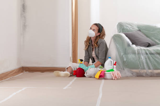 Reliable Black Mold Remediation contractor in Katy, TX by Mold Remediation HQ
